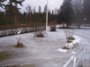 Holaforsvinter 2014 - 1 -6