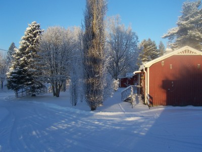 Holaforsvinter -24 gr