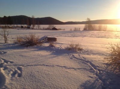 Mariannes-bild_1-460x343