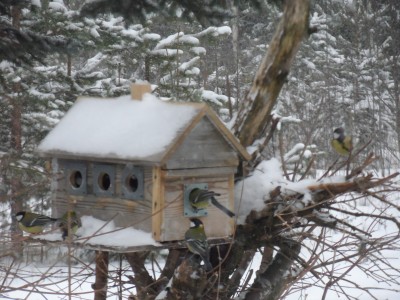 Frukosten är serverad