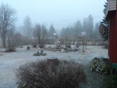 Dimmig morron - frost.