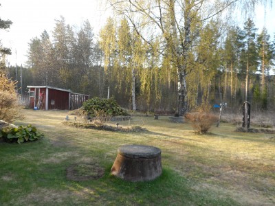 Snart grönskar och blommar det ...