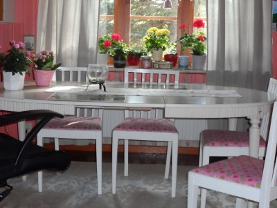 Solen värmer skönt genom köksfönstret