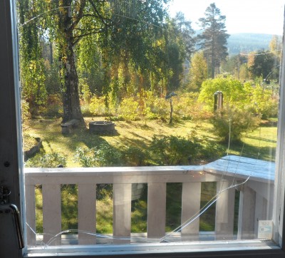 Ser ni ringen i glaset ?