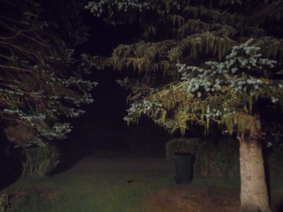 Snart så. är vägen fri...