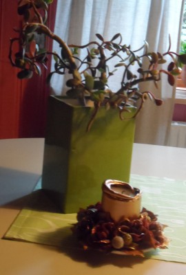 Det gäller att hålla den vid liv