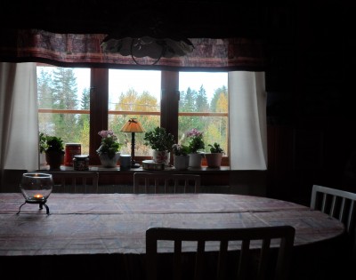 Utsikt från köksbordet