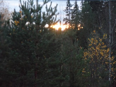 Gläntan skvallrar , vinter på gång.