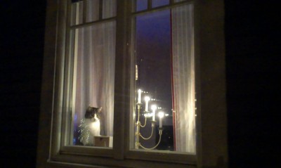 Finstämd adventsbild. Stjärnis  i fönstret