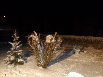 Vinterkväll -6gr... månsken