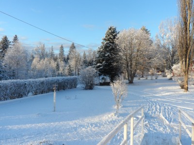 Vinterdag -14 gr ... sol...