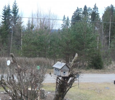 En blå strimma av hopp...