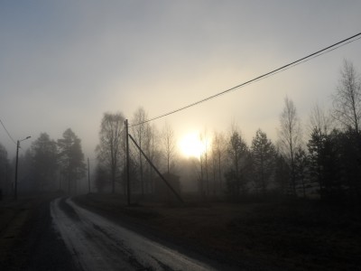 Solen orkar knappt över trädtopparna
