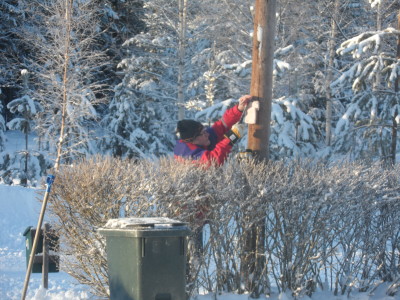 Kjell glömmer inte småfåglarna