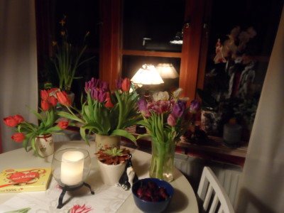 Köksfönstret. tidig morron-