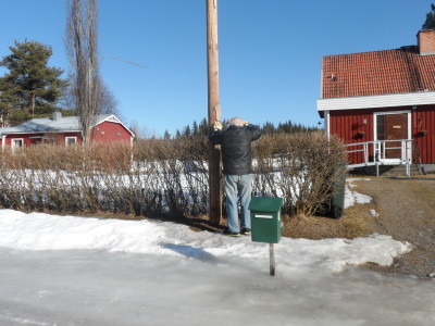 Fåglarna måste få sitt, trots halkan