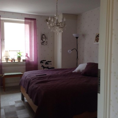 11205012_10204555100497627_8594587912462373740_n