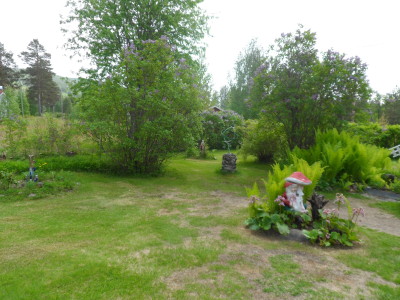 Än dröjer grönskan