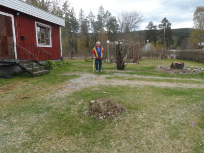 ingen grönska här än.