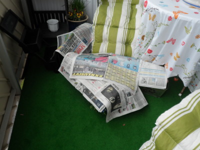 Hoppas blommorna klar kylan.