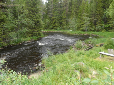 "Min" orörda fina fors.