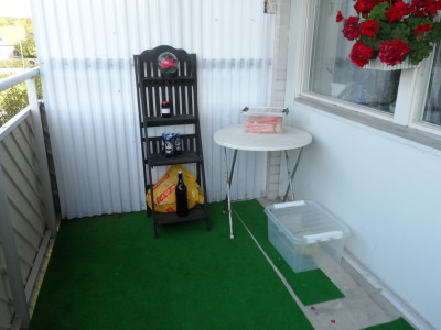 ingen mat för en skata