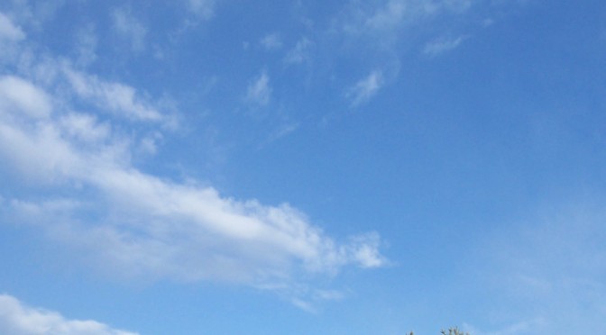 Nytt år – ny hemsida